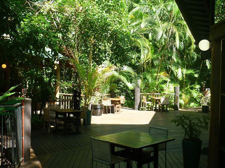 Hotel Ferntree Rainforest Lodge | Cape Tribulation | Queensland | Australia 4