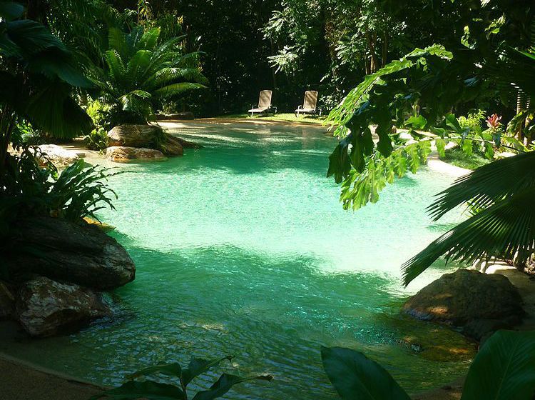 Hotel Ferntree Rainforest Lodge | Cape Tribulation | Queensland | Australia 7