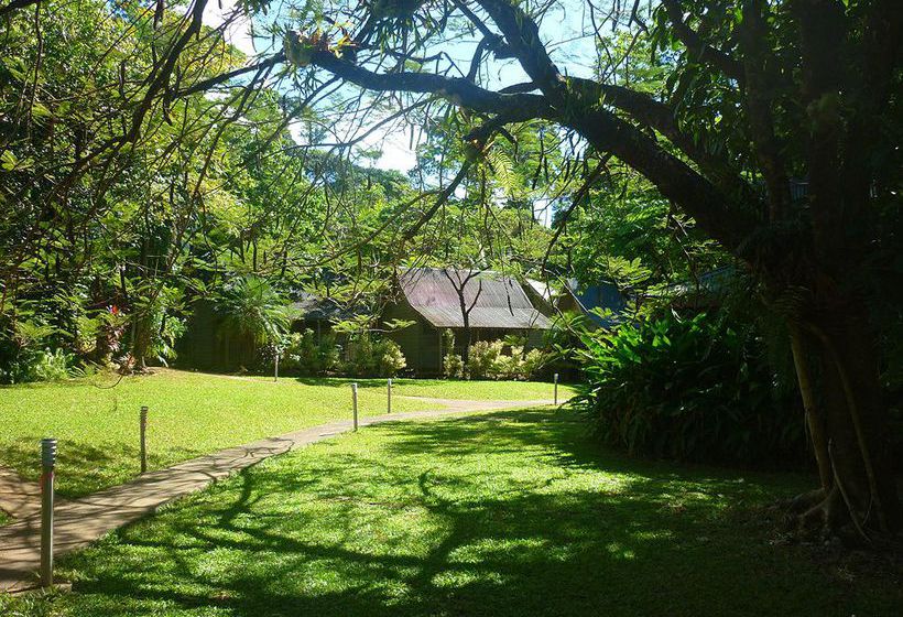 Hotel Ferntree Rainforest Lodge | Cape Tribulation | Queensland | Australia 9