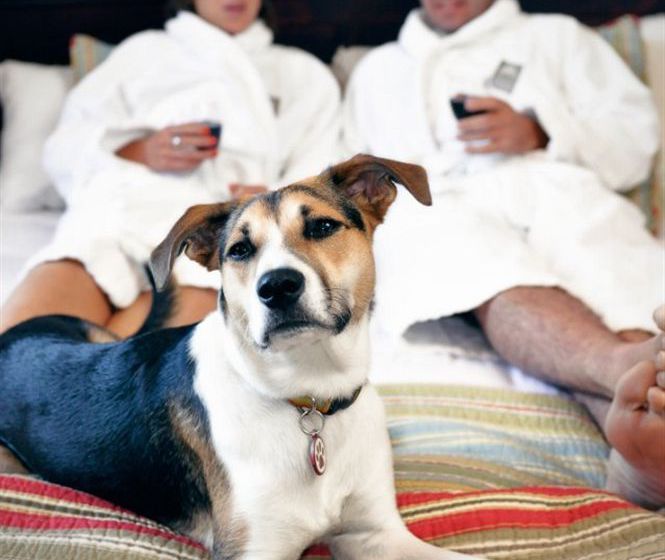 Hôtel Mystic Springs Chalets & Hot Pools | Canmore | Alberta | Hôtels au Canada 12