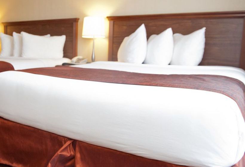 Merit Hotel | Fort McMurray | Alberta | Canada 16