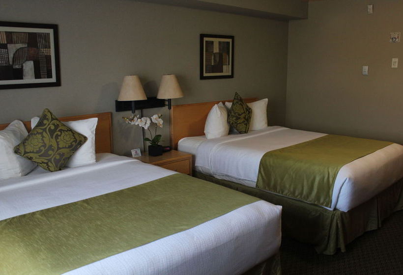 Hotel Vantage Inns & Suites Fort McMurray | Fort McMurray | Alberta | Canada 8