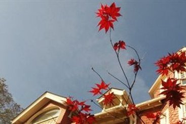 Hotel Madison Manor Boutique | Toronto | Ontario | Canada 4