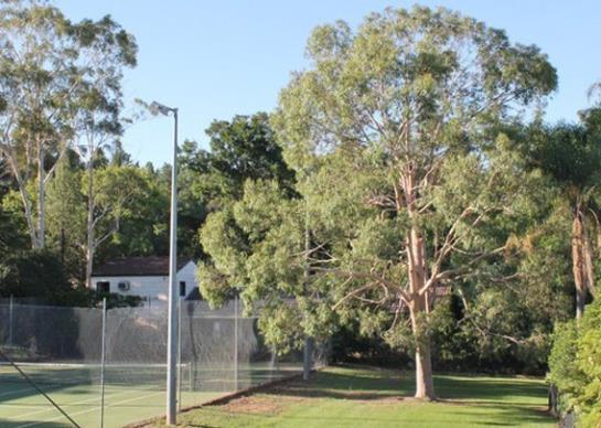 Hotel Quality Inn Dubbo International | Dubbo | New South Wales | Australia 9