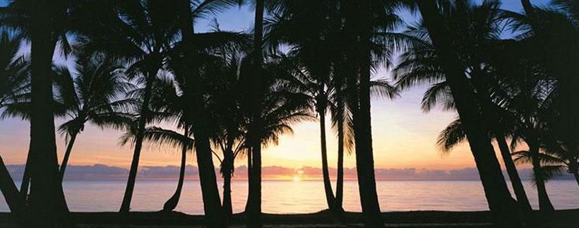 Paradise On The Beach Resort | Palm Cove | Queensland | Australia 1