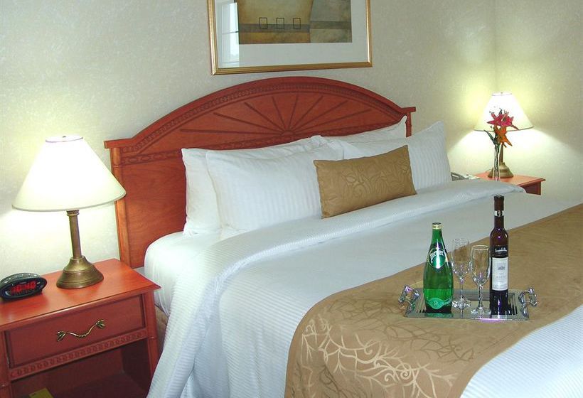 Hotel Best Western Plus Executive Inn | Toronto | Ontario | Canada 7