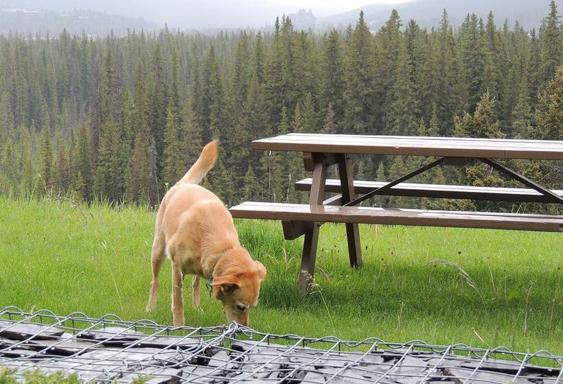The Juniper Hotel Banff