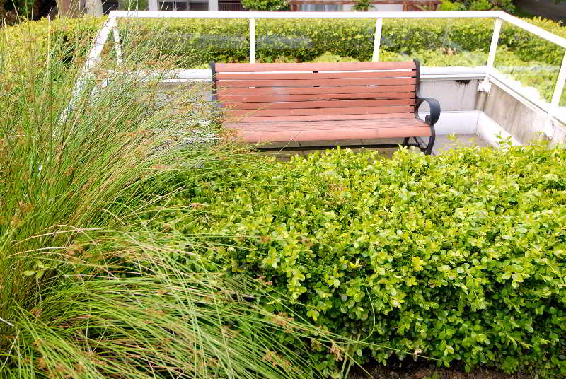 Hotel Robson Suites | Vancouver | British Columbia | Canada 7