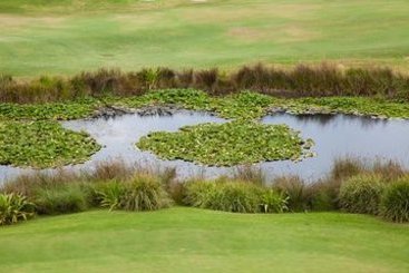 Hotel Best Western City Sands | Wollongong | New South Wales | Australia 13