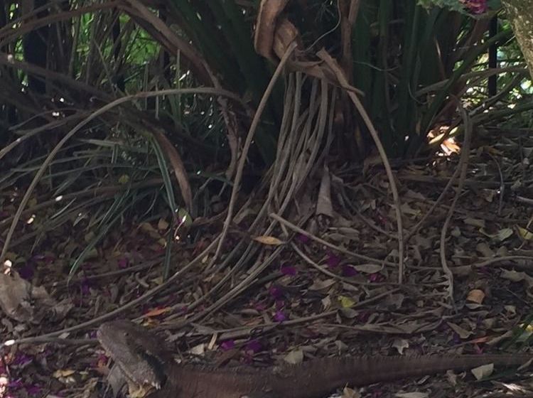 Hotel Byron Lakeside | Byron Bay | New South Wales | Australia 16