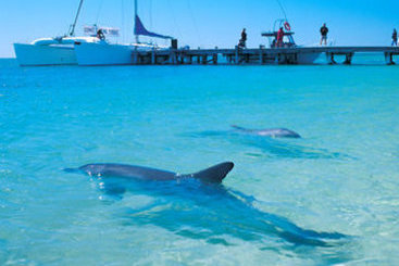 Hotel Monkey Mia Dolphin | Denham | Western Australia | Australia 15