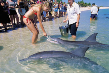 Hotel Monkey Mia Dolphin | Denham | Western Australia | Australia 18