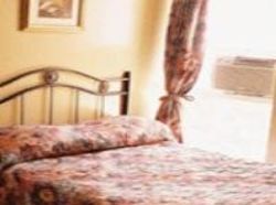 Hotel Du Nouveau Forum | Montreal | Quebec | Canada 4