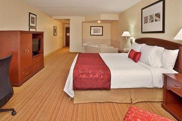 Hotel Courtyard By Marriott Toronto Vaughan | Vaughan | Ontario | Canada 16