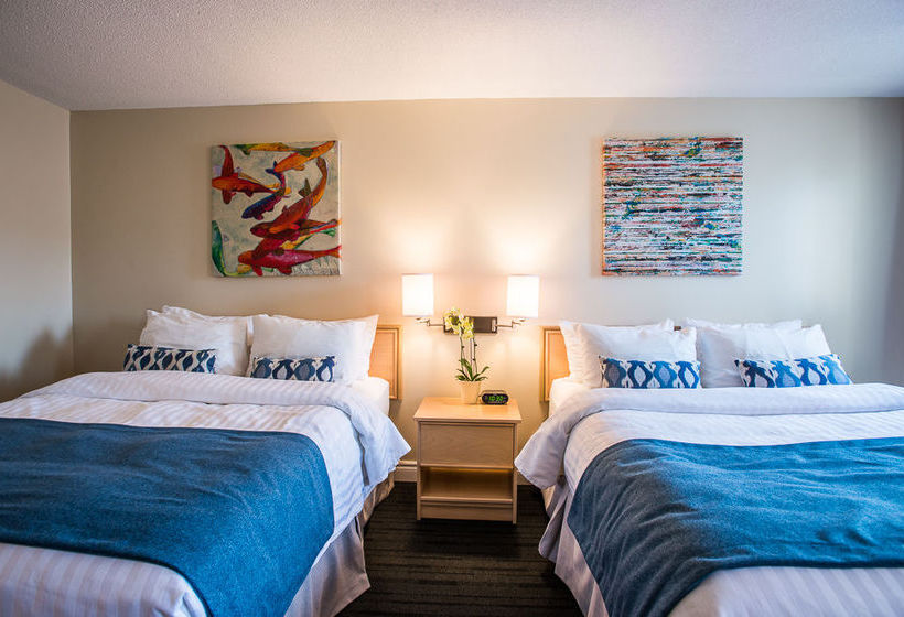 Hotel Best Western Plus Albert Centre Ville | Rouyn-Noranda | Quebec | Canada 2