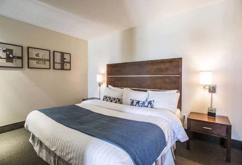 Hotel Best Western Plus Albert Centre Ville | Rouyn-Noranda | Quebec | Canada 3