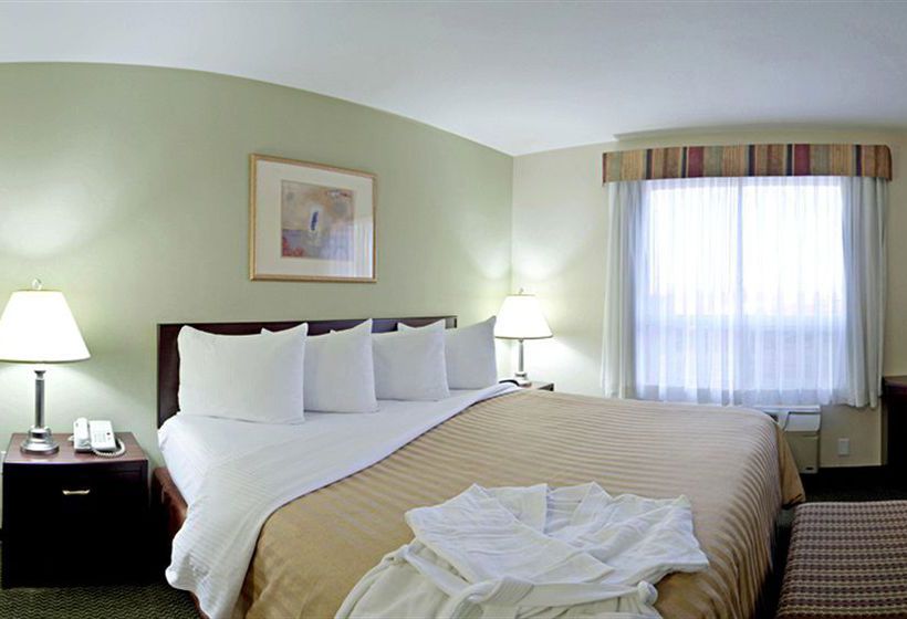 Hotel Best Western Red Deer Inn & Suites | Red Deer | Alberta | Canada 3