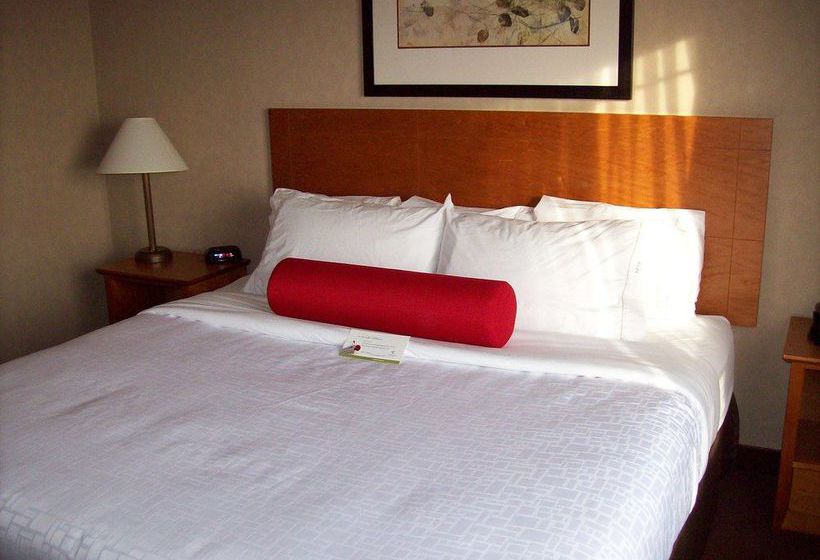 Hotel Super 8 Rimbey | Rimbey | Alberta | Canada 6