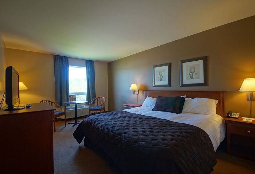 Hotel Super 8 Sainte-Agathe-Des-Monts | Sainte Agathe des Monts | Quebec | Canada 4