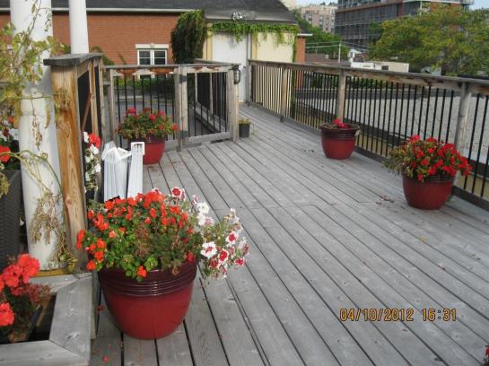 Hotel St Lawrence Residences & Suites