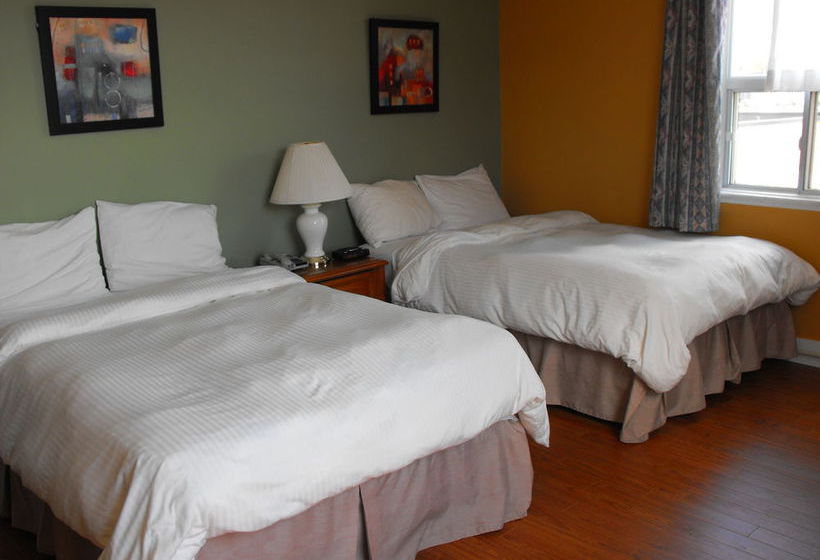 Hotel The Albert St. Inn Ontario
