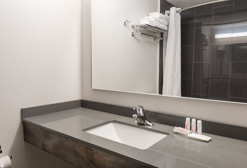 Hotel Super 8 Downtown Toronto