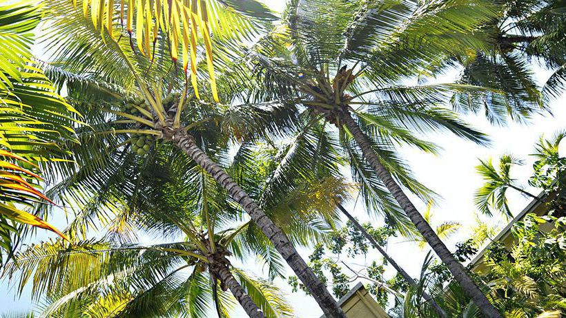 Hotel Njoy Travellers Resort | Cairns | Queensland | Australia 9