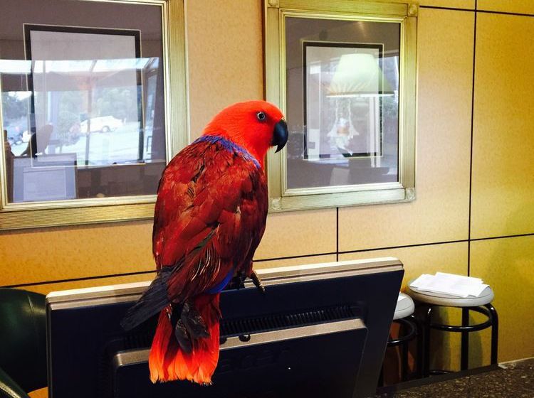 Rowville International Hotel | Melbourne | Victoria | Australia 17