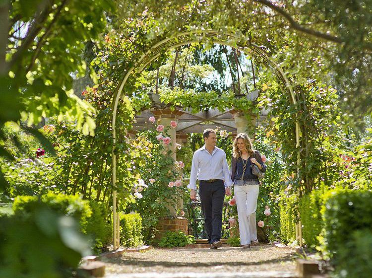 Hotel Jacobs Creek Retreat | Tanunda | South Australia | Australia 4