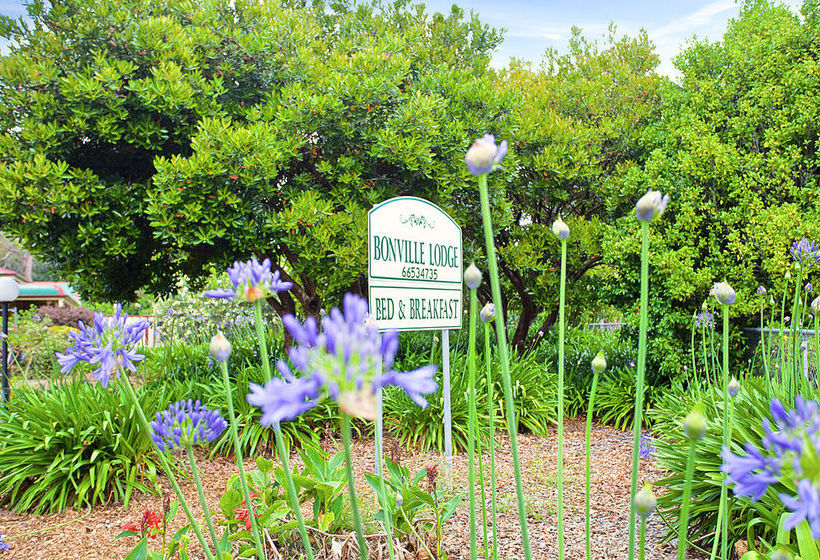 Bed and Breakfast Bonville Lodge Luxury | Bonville | New South Wales | Australia 14