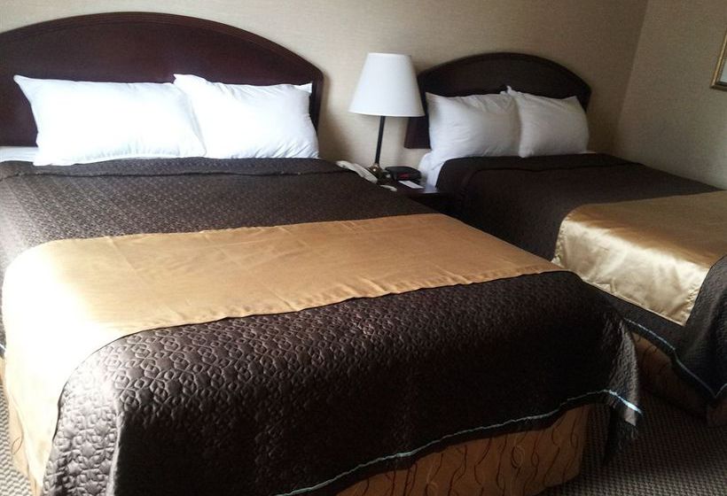 Hotel Econo Lodge City Centre Kingston | Kingston | Ontario | Canada 7