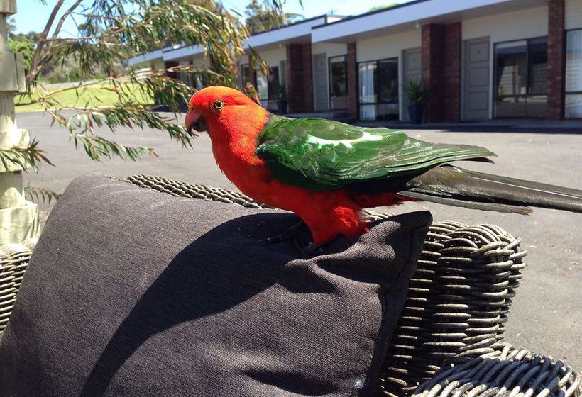 Motel Marengo | Apollo Bay | Victoria | Australia 16