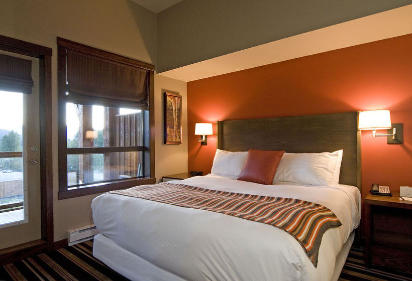 Evolution | Whistler | British Columbia | Canada 16