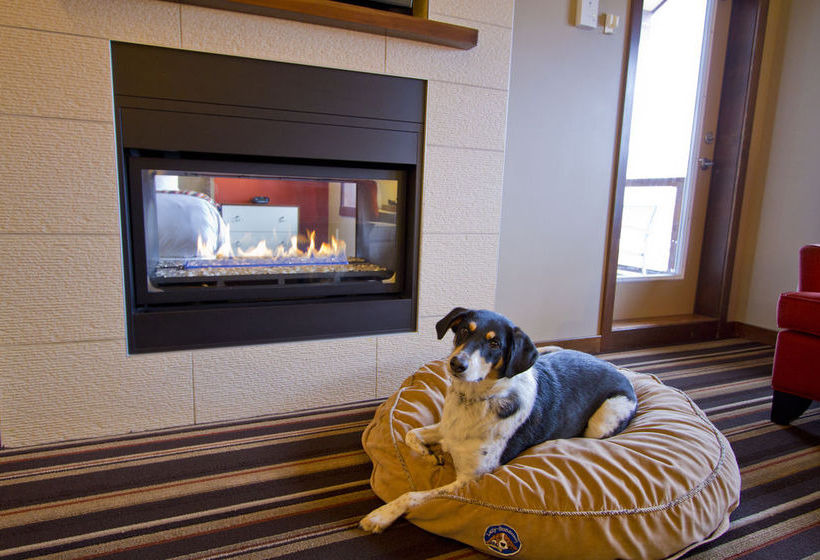 Evolution | Whistler | British Columbia | Canada 8