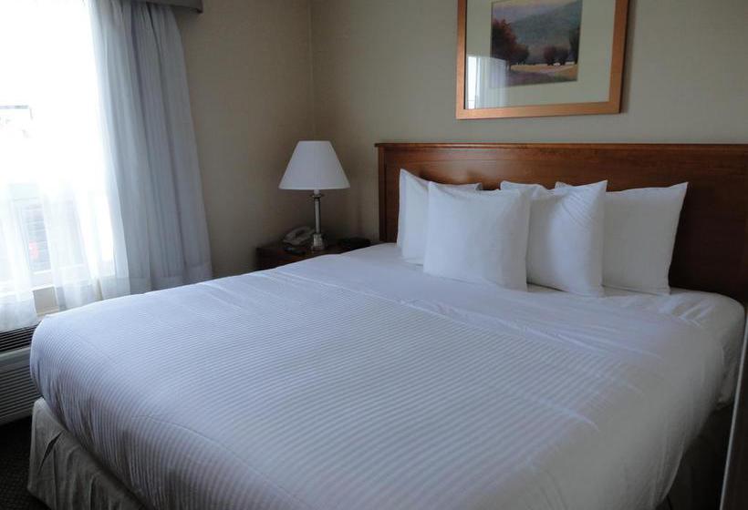 Hotel Days Inn Edmonton South Alberta