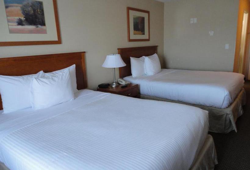 Hotel Days Inn Edmonton South | Edmonton | Alberta | Canada 6