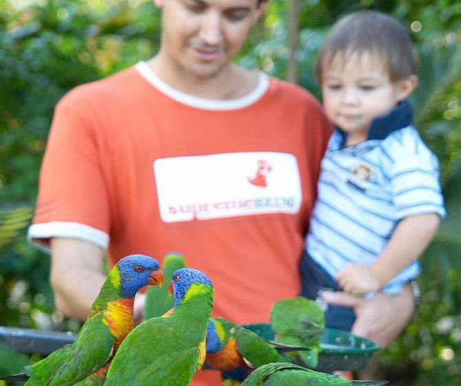 Hotel Island Gateway Holiday Park | Airlie Beach | Queensland | Australia 18