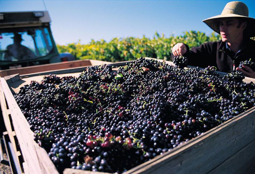 Abbotsford Country House Barossa Valley | Lyndoch | South Australia | Australia 1