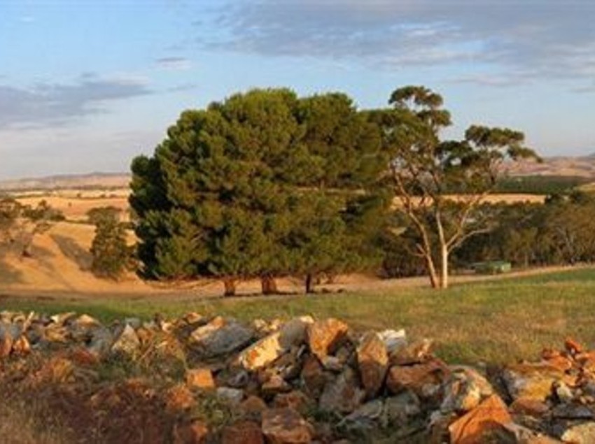 Abbotsford Country House Barossa Valley | Lyndoch | South Australia | Australia 5