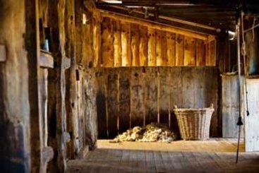 Hotel Angorichina Station | Adelaide | South Australia | Australia 15