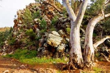 Hotel Angorichina Station | Adelaide | South Australia | Australia 7