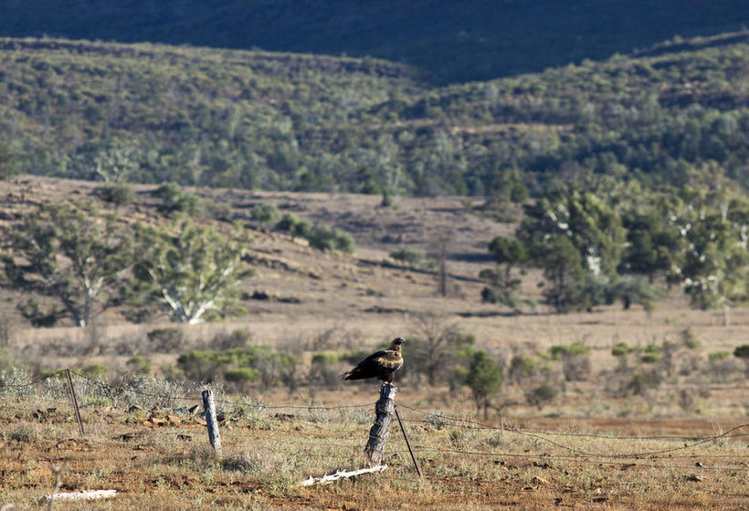 Rawnsley Park Station | Hawker | South Australia | Australia 20