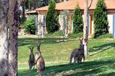 Hotel Tuscany Wine Estate Resort | Pokolbin | New South Wales | Australia 6