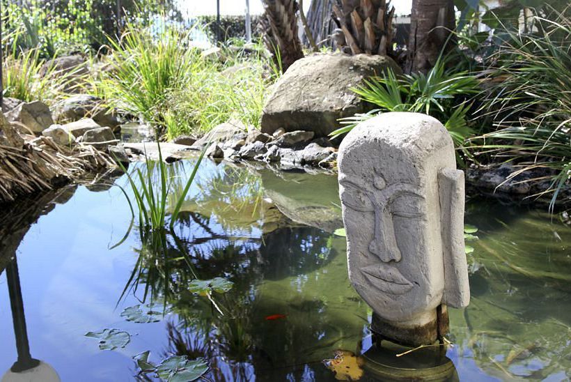 Coolum Caprice Luxury Holiday Apartments | Coolum Beach | Queensland | Australia 9