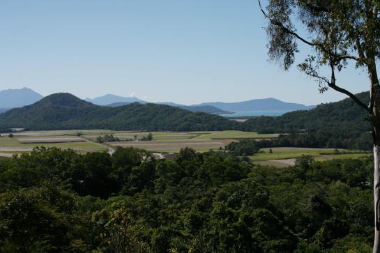 Mai Tai Resort | Port Douglas | Queensland | Australia 14