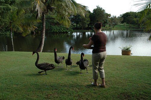 Alexander Lakeside Bed & Breakfast | Hervey Bay | Queensland | Australia 15