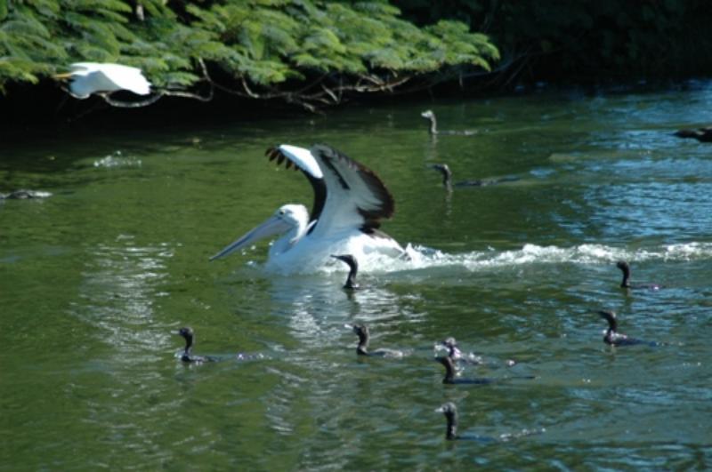 Alexander Lakeside Bed & Breakfast | Hervey Bay | Queensland | Australia 5