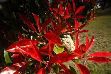 City View Motel | Hobart | Tasmania | Australia 8