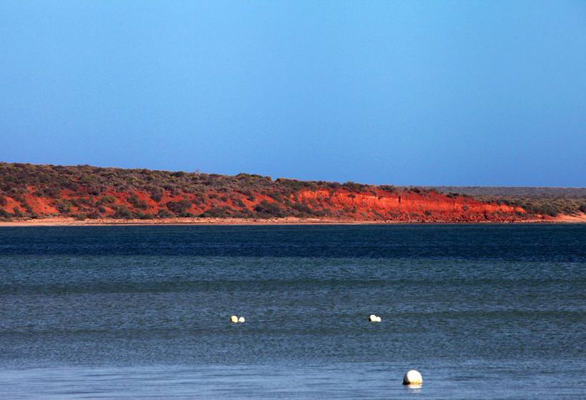 Hotel Oceanside Village | Denham | Western Australia | Australia 7