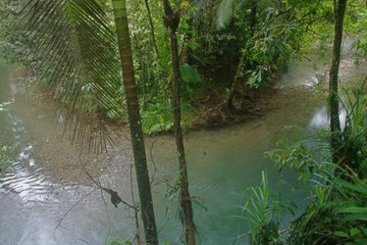 Hotel Heritage Lodge & Spa | Daintree | Queensland | Australia 11